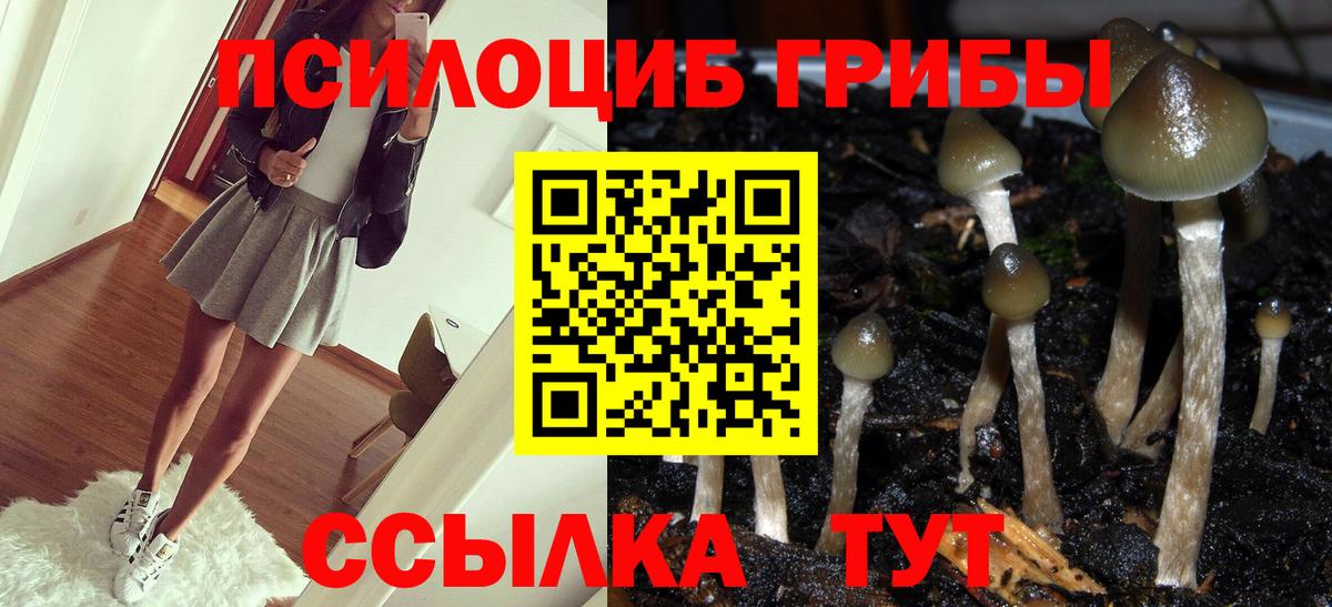 Псилоцибиновые грибы прущие грибы Саки