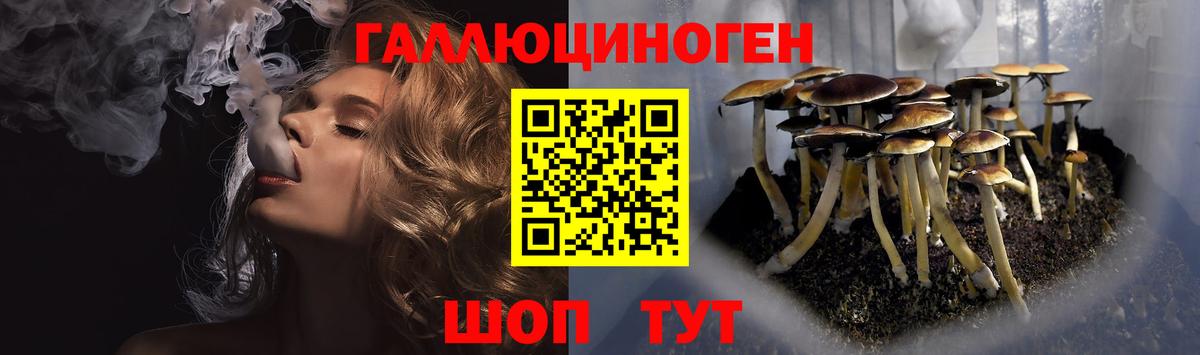 Саки  Псилоцибиновые грибы прущие грибы  Вход с VPN 